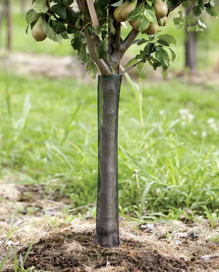 Fil de protection PlantaGard pour un seul tronc 150 x 100 cm